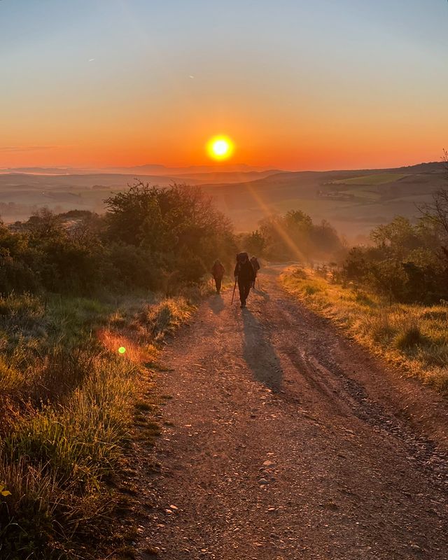 Maximizing Your Blog’s Reach: SEO Tips for Bloggers