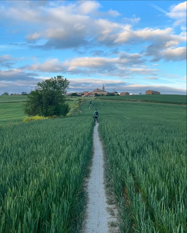 The Essentials of Blogging: Tips and Strategies for Success